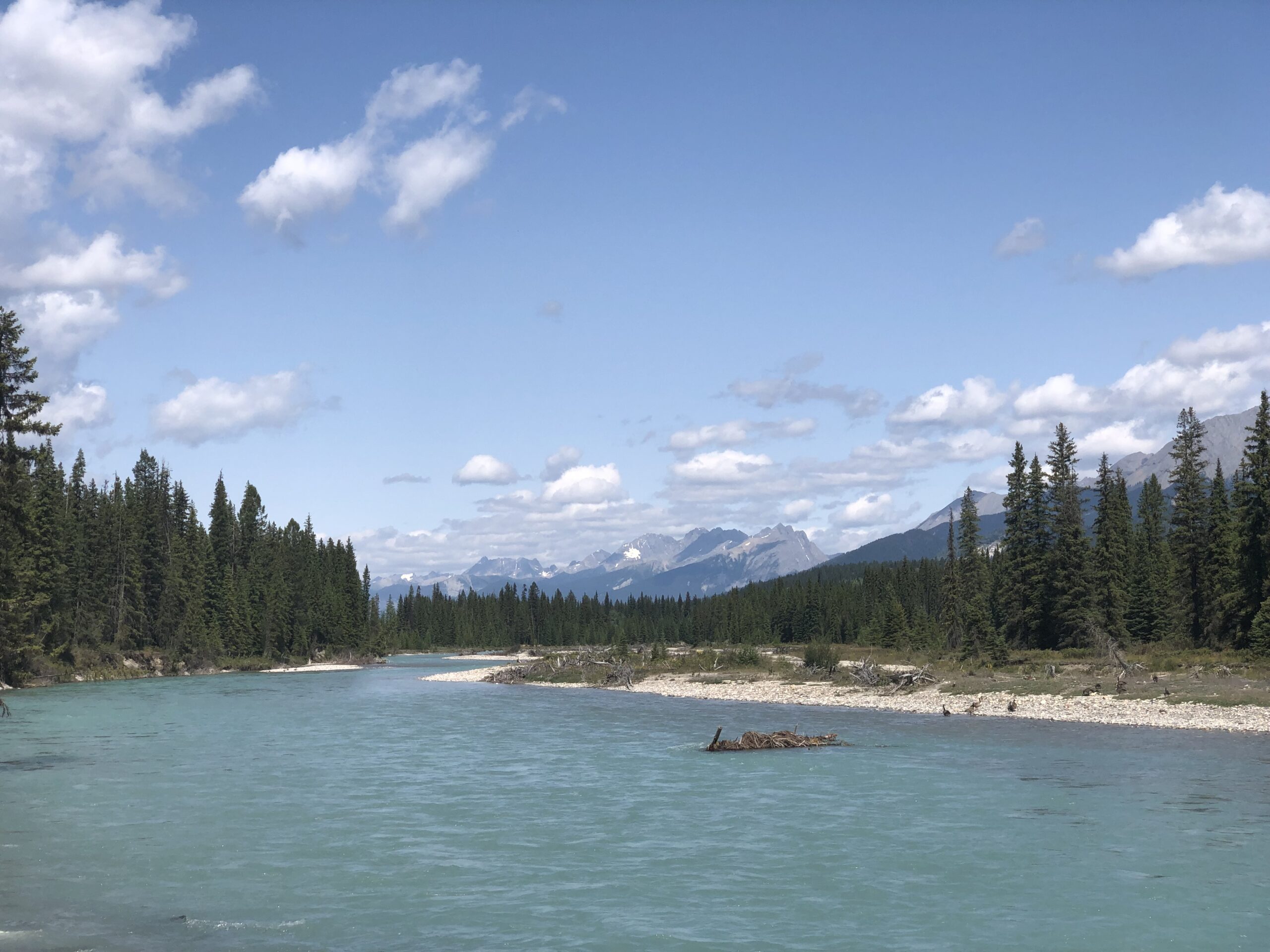 Read more about the article Kootenay National Park