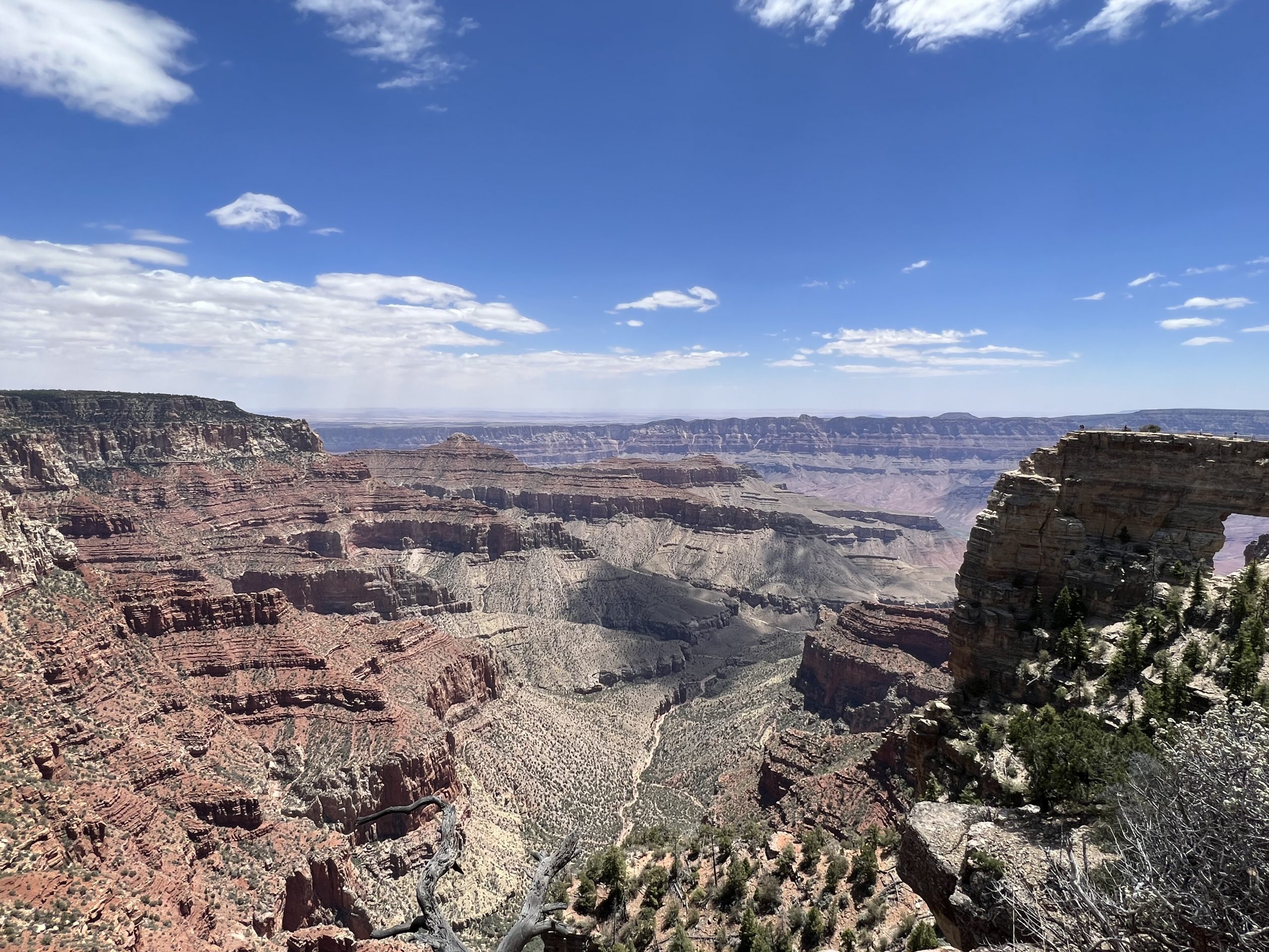 USA Südwest 02 Grand Canyon 26