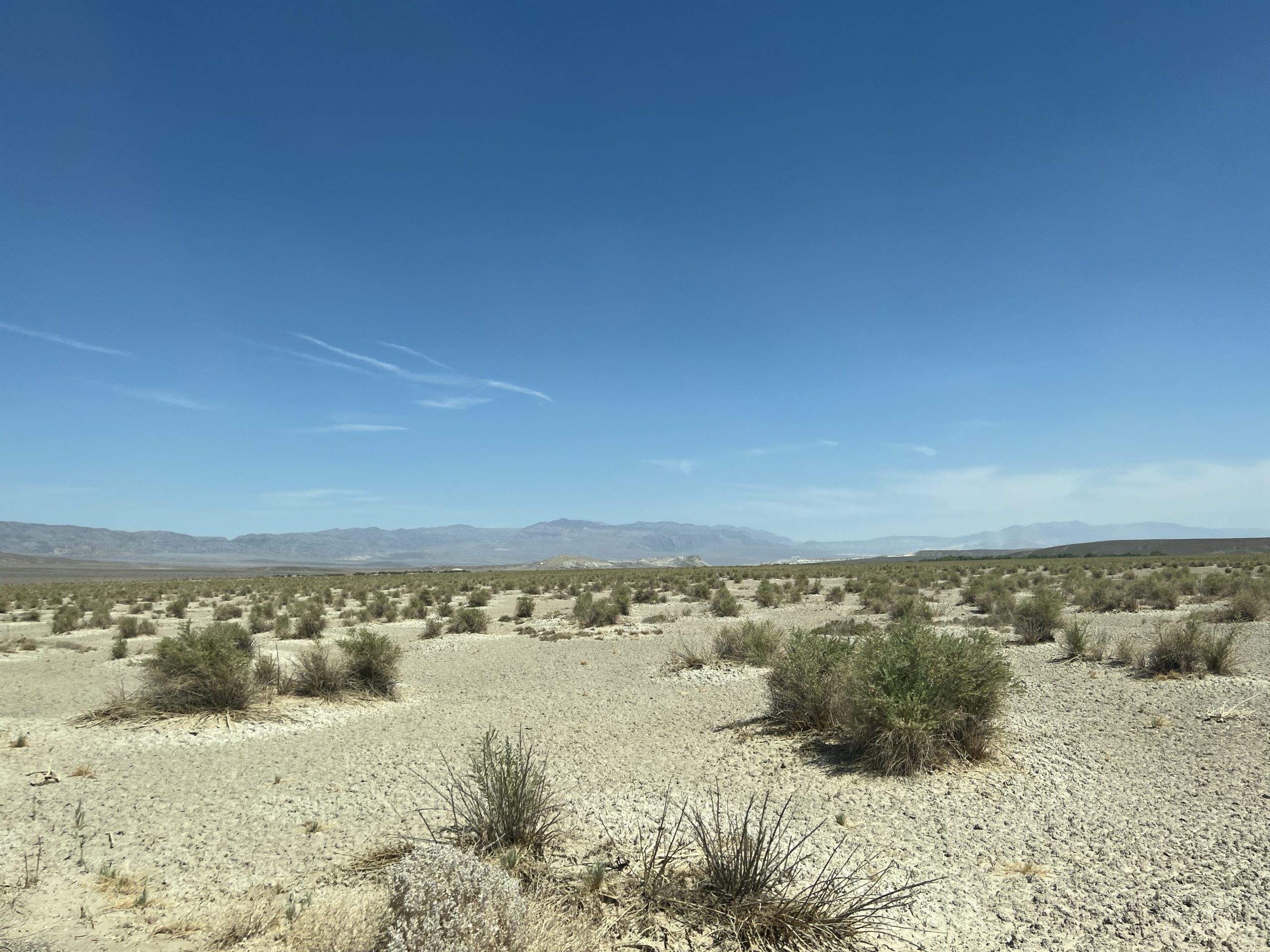 USA Südwest 06 Death Valley 19