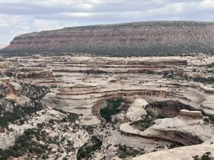 Read more about the article Natural Bridges National Monument