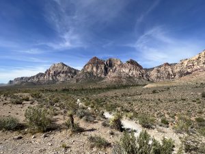 Read more about the article Red Rock Canyon